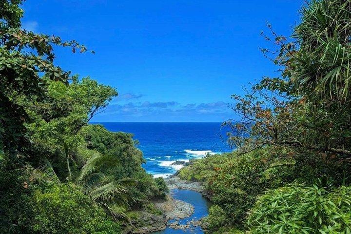 ハナへの私道（マウイ島）スペイン語および英語ガイド付き