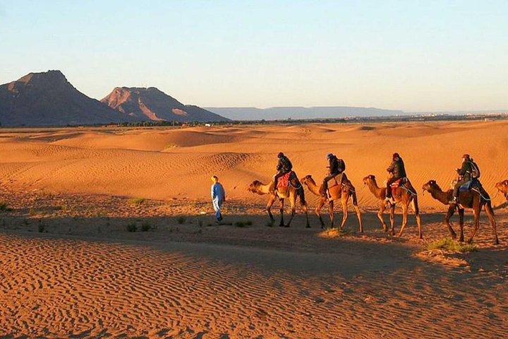 2-dagars ökenutflykt till Zagora från Marrakech med kamelritt och läger