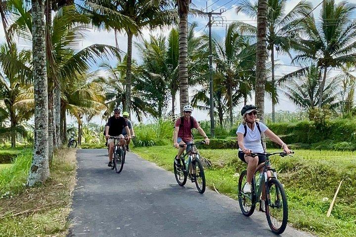 Ubud Wunderschöne Halbtages Downhill-Radtour mit Mittagessen