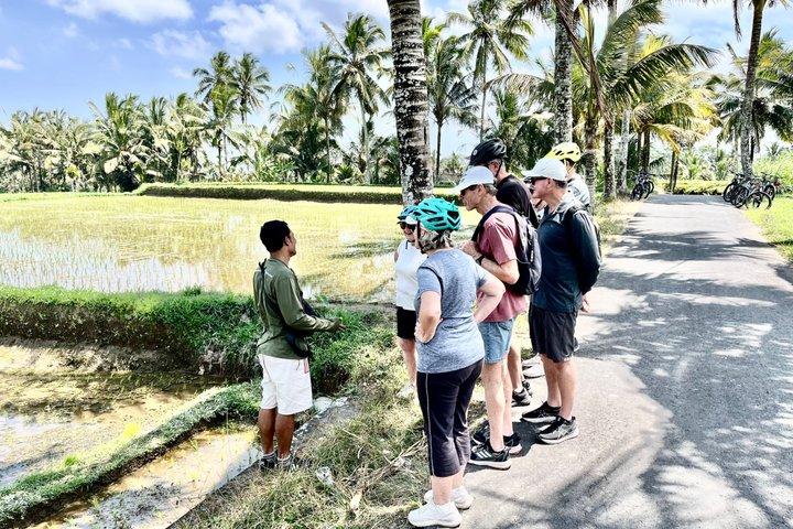 Ubud Wunderschöne Halbtages Downhill-Radtour mit Mittagessen