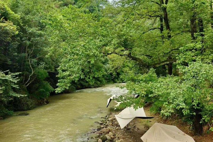 広州からの前龍溝の滝と溪頭村へのプライベート デイ ツアー