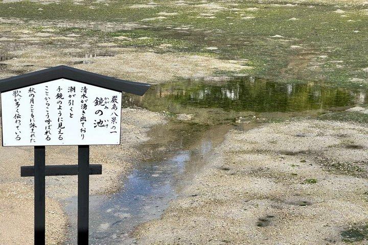 Hiroshima Peace Park and Atomic Bomb Dome Walking Tour
