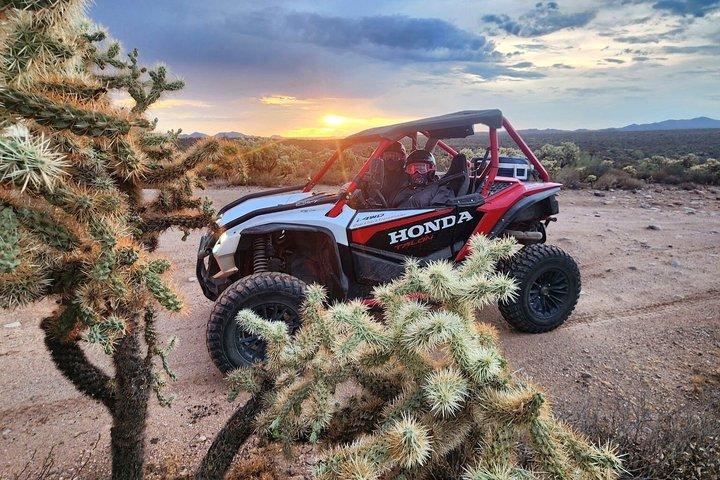 Desert Off-Road UTV Tour, 2 hours, 2 people per vehicle