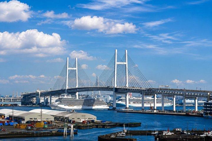 東京発 富士山と山中湖の日帰りプライベートツアー