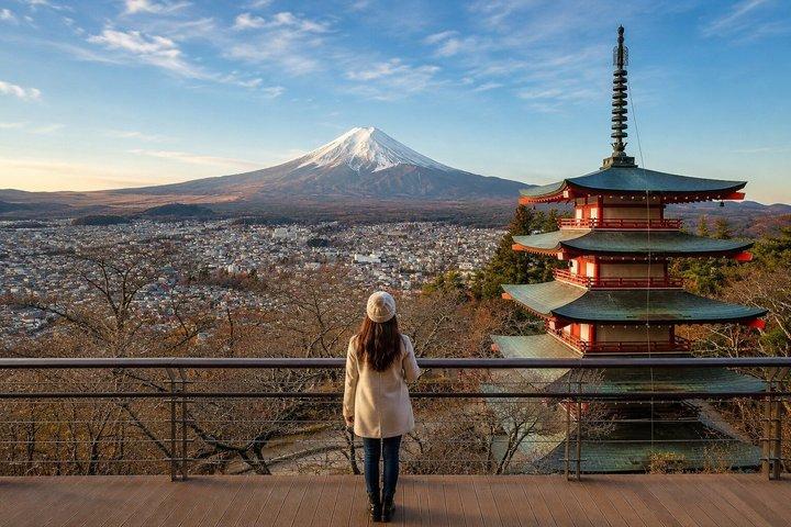 東京発 富士山と山中湖の日帰りプライベートツアー