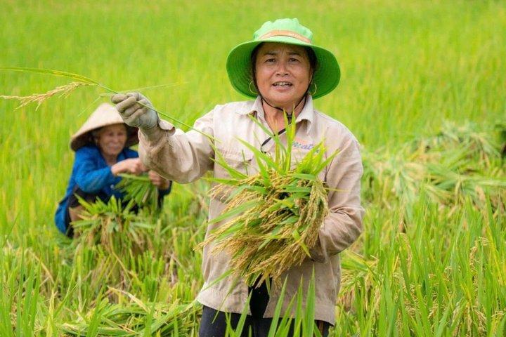 Udforsk Ninh Binhs højdepunkter på en privat dagstur fra Hanoi