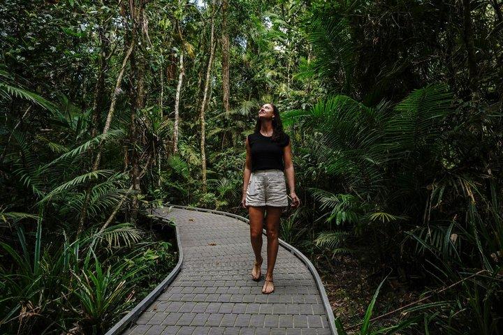 Luxe privé Daintree-ervaring vanuit Port Douglas