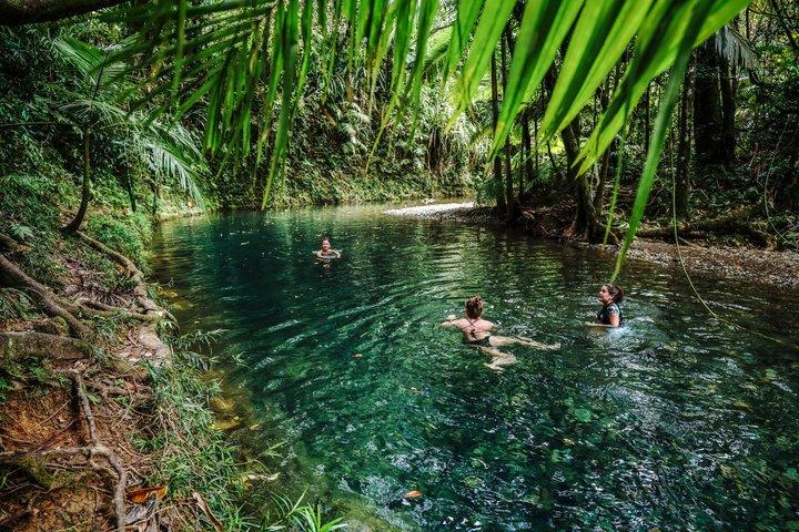 Luxe privé Daintree-ervaring vanuit Port Douglas