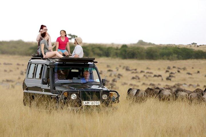 4x4ランドクルーザージープで行く4日間のマサイマラロッジサファリ