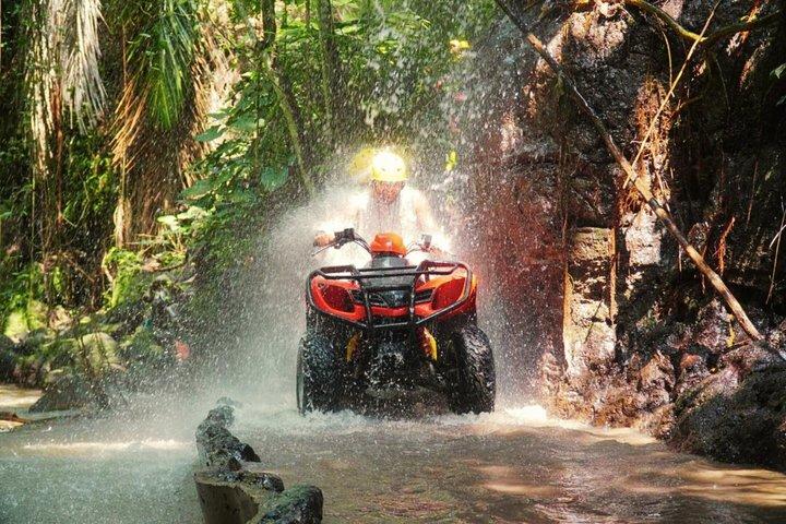 バリ島 ATV ホワイトウォーターラフティング＆ジャングルスイングアドベンチャー終日