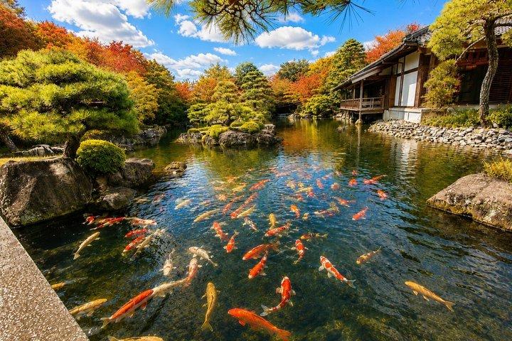 姫路城・有馬温泉・六甲山：大阪発日帰りバスツアー