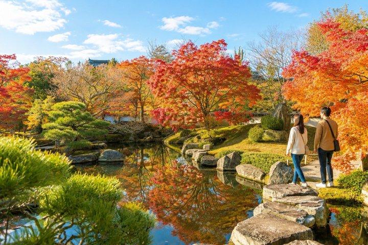 姫路城・有馬温泉・六甲山：大阪発日帰りバスツアー