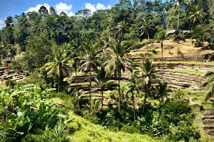 Ubud Off the Beaten Path Privat Tur