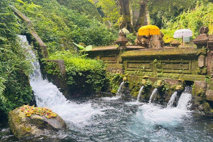 Ubud Off the Beaten Path Privat Tur