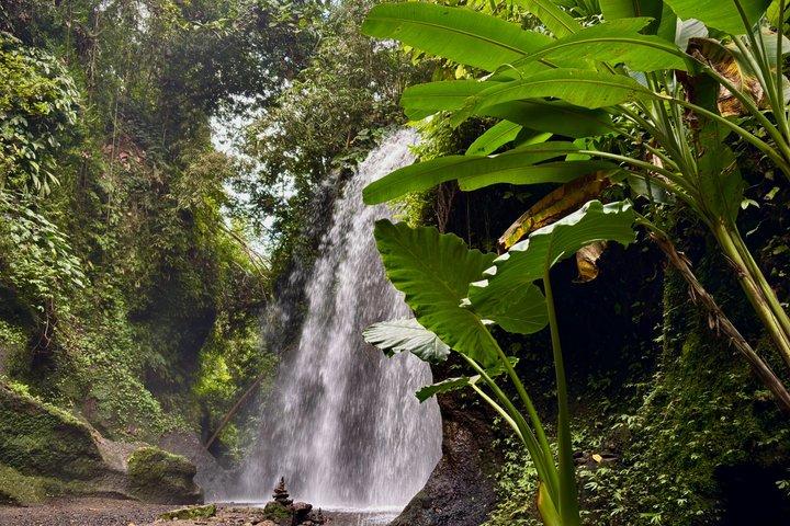 Ubud Off the Beaten Path Privat Tur