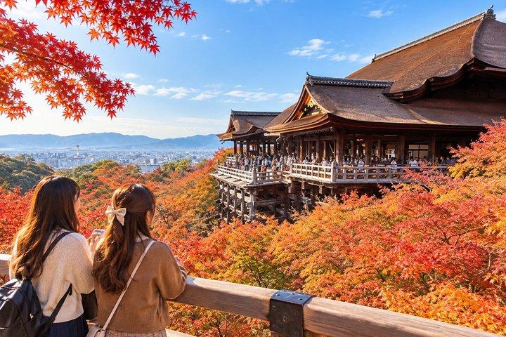 Excursión en autobús desde Osaka/Kioto a Kioto, declarado Patrimonio de la Humanidad por la UNESCO