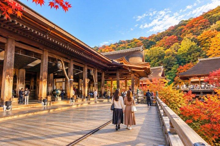 大阪・京都から日帰りで巡る京都ユネスコ世界遺産バスツアー