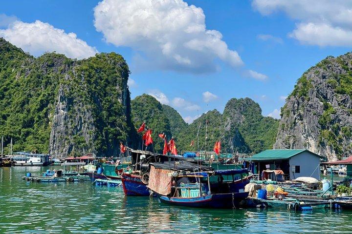 カットバ島 - ランハー湾日帰り旅行：カヤック、水泳、食事