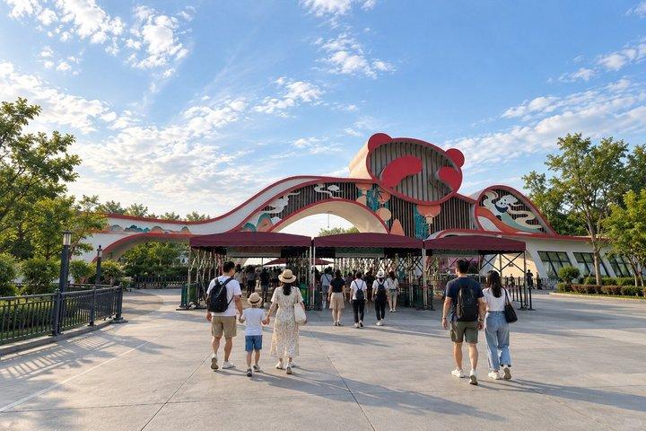 プライベート成都ツアー：ジャイアントパンダ基地、茶文化、地元ランチ