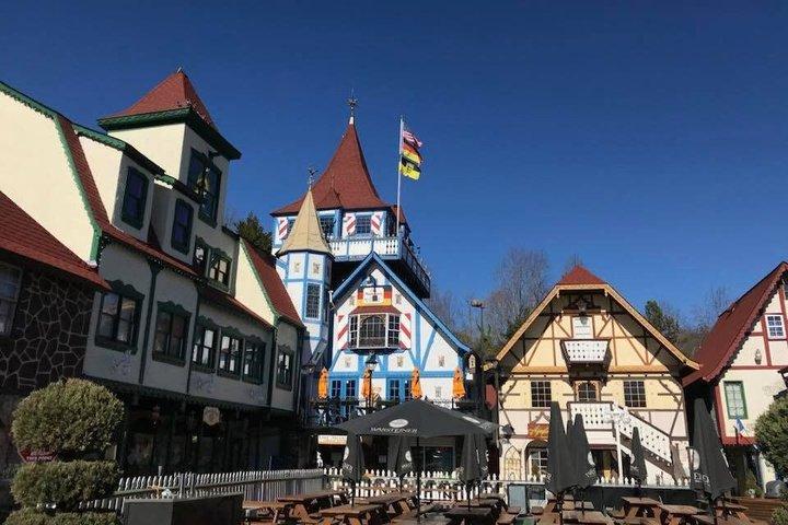 アトランタからノースジョージア山脈へのプライベートツアー