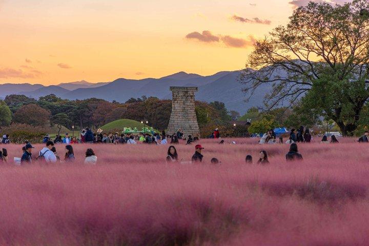 慶州：釜山＆慶州ピックアップ付き小グループツアー