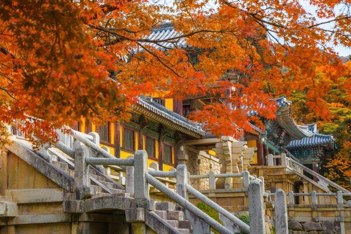 慶州：釜山＆慶州ピックアップ付き小グループツアー