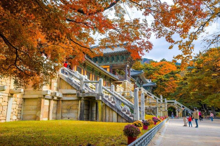 慶州：釜山＆慶州ピックアップ付き小グループツアー