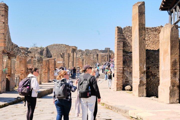 ローマからの日帰り旅行:ポンペイ&ソレント・アマルフィ海岸を探索