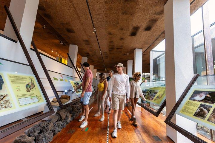 ランサローテ島でのファマラビーチ、テギセ、火山を巡る4WDツアー