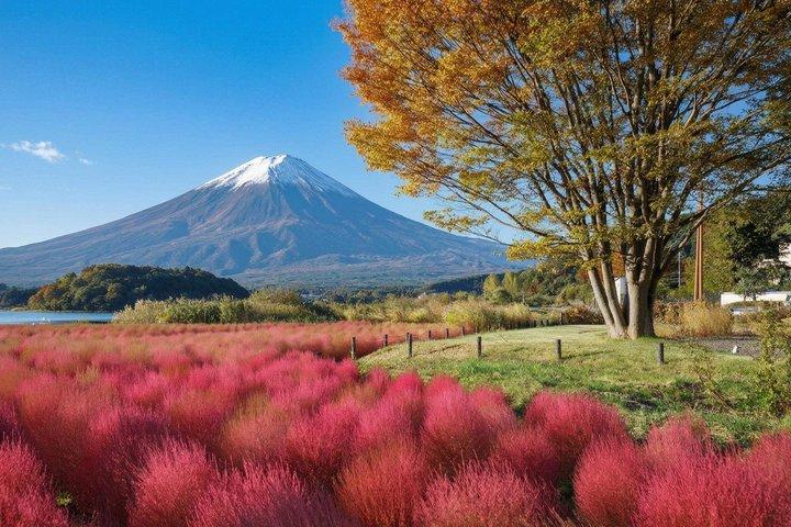 一日で楽しむ富士山の4つの象徴的な絶景スポットを発見しよう