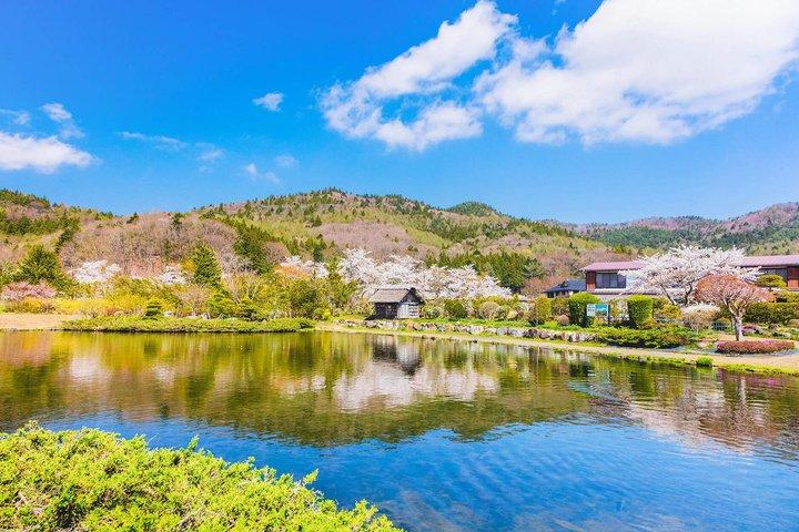 一日で楽しむ富士山の4つの象徴的な絶景スポットを発見しよう