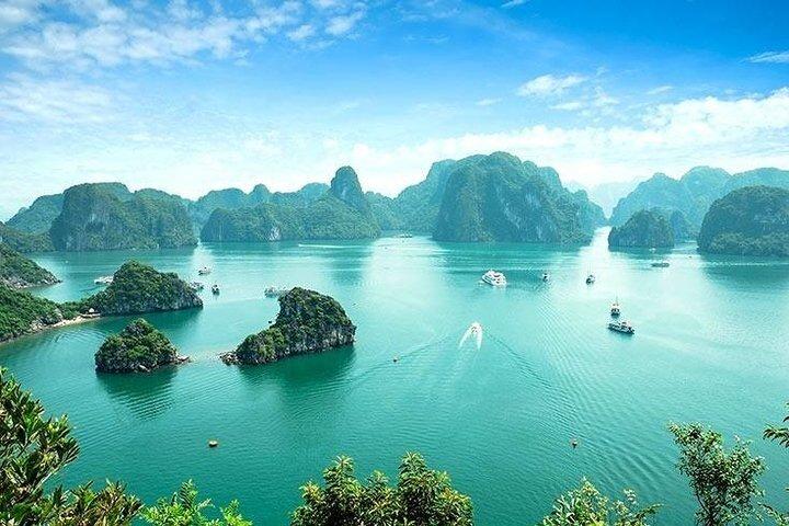 ハノイ発、海獅クルーズ付きハロン湾1日旅行