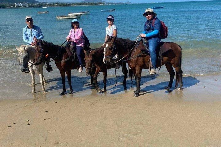 プエルトプラタでのビーチと田園地帯の乗馬アドベンチャー