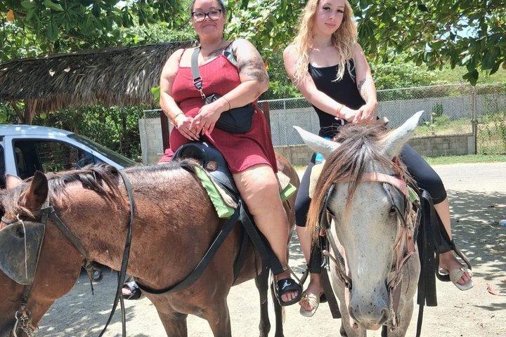 プエルトプラタでのビーチと田園地帯の乗馬アドベンチャー