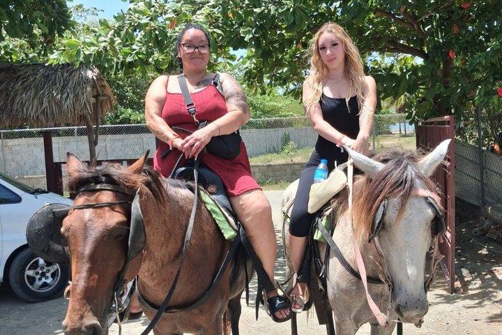 プエルトプラタでのビーチと田園地帯の乗馬アドベンチャー