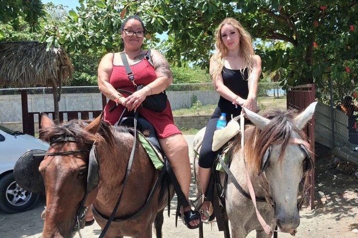 プエルトプラタでのビーチと田園地帯の乗馬アドベンチャー