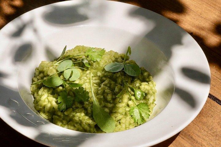 Farm to Table Cooking Experience in San Miguel