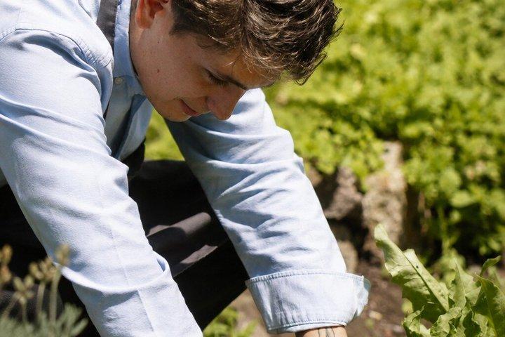Farm to Table Cooking Experience in San Miguel