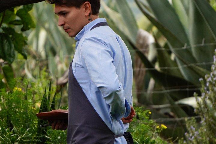 Farm to Table Cooking Experience in San Miguel
