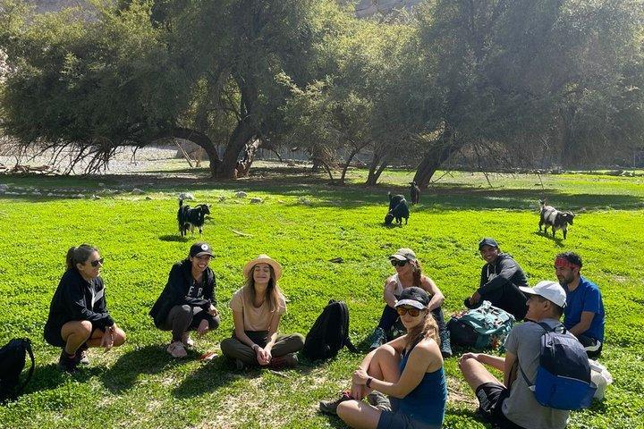 Hidden Oasis Half-Day Guided Hike in Ras Al Khaimah