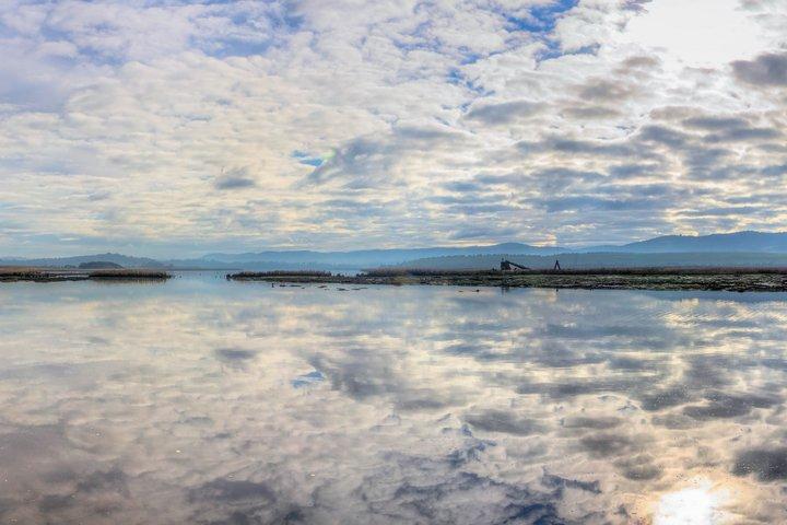 Tamar Valley Lunch Cruise with Wine Tasting