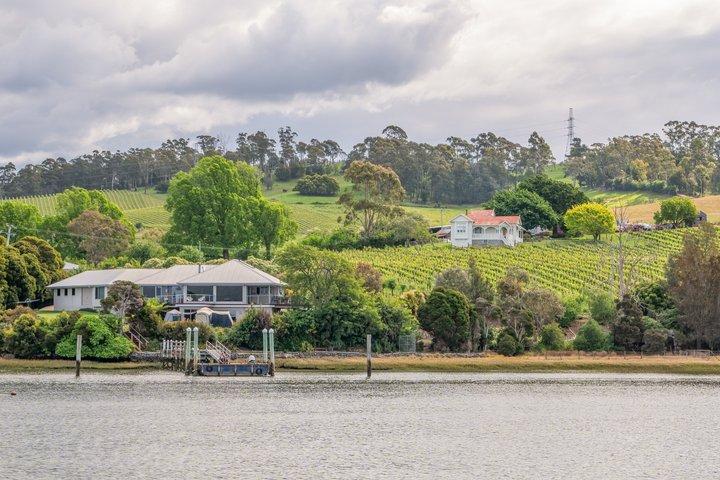 Tamar Valley Lunch Cruise with Wine Tasting