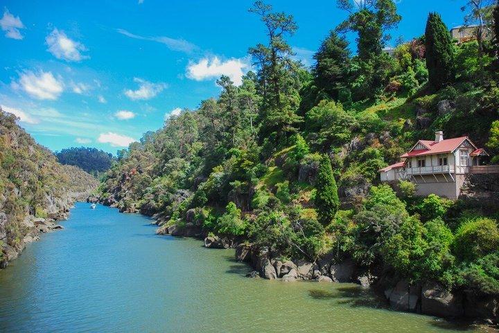 Tamar Valley Lunch Cruise with Wine Tasting