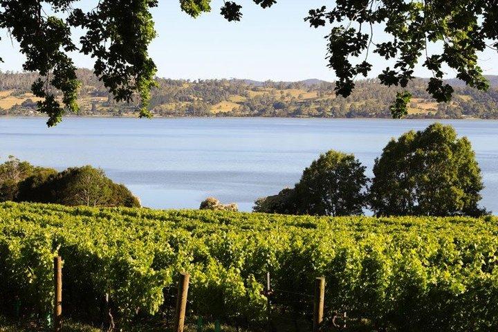 Tamar Valley Lunch Cruise with Wine Tasting