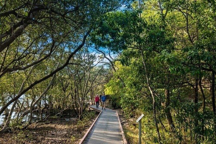 Secret Sydney Nature Tour
