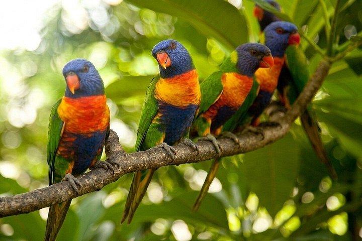 Secret Sydney Nature Tour