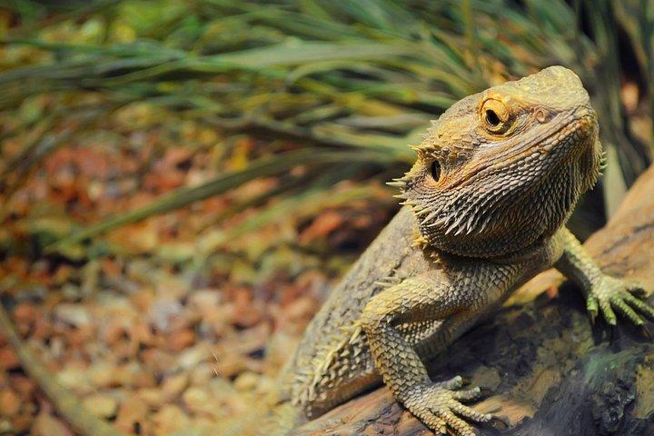Secret Sydney Nature Tour