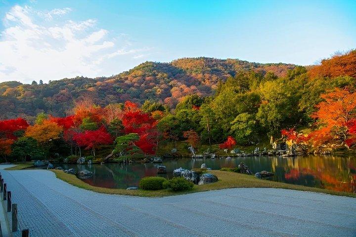 京都でのプライベート嵐山ユネスコウォーキングツアー（地元ガイド付き）