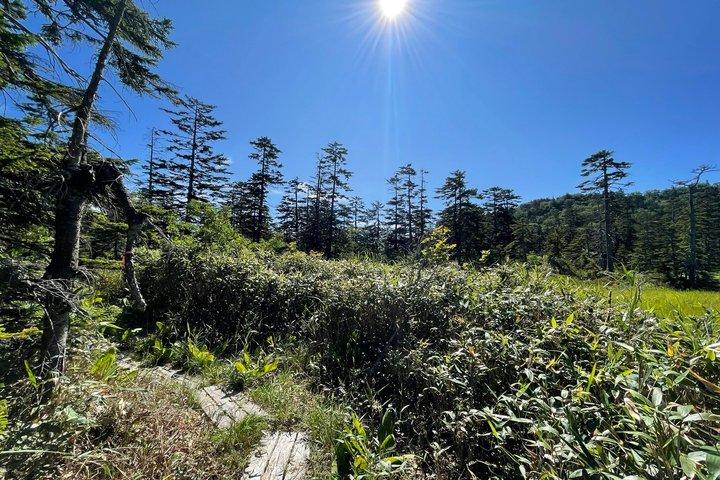 札幌と北海道のグリーンシーズンを温泉とともに1日ハイキング。