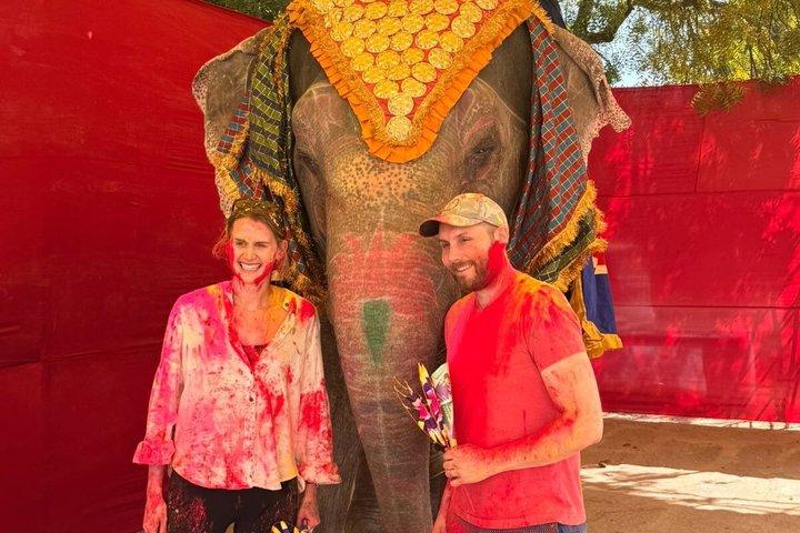 Celebración del Festival Holi en el Palacio Diggi de Jaipur